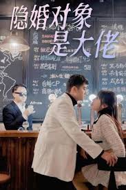 隱婚對象是大佬