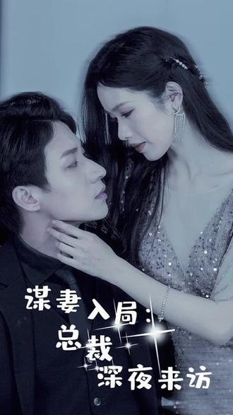 謀妻入局：總裁深夜來訪