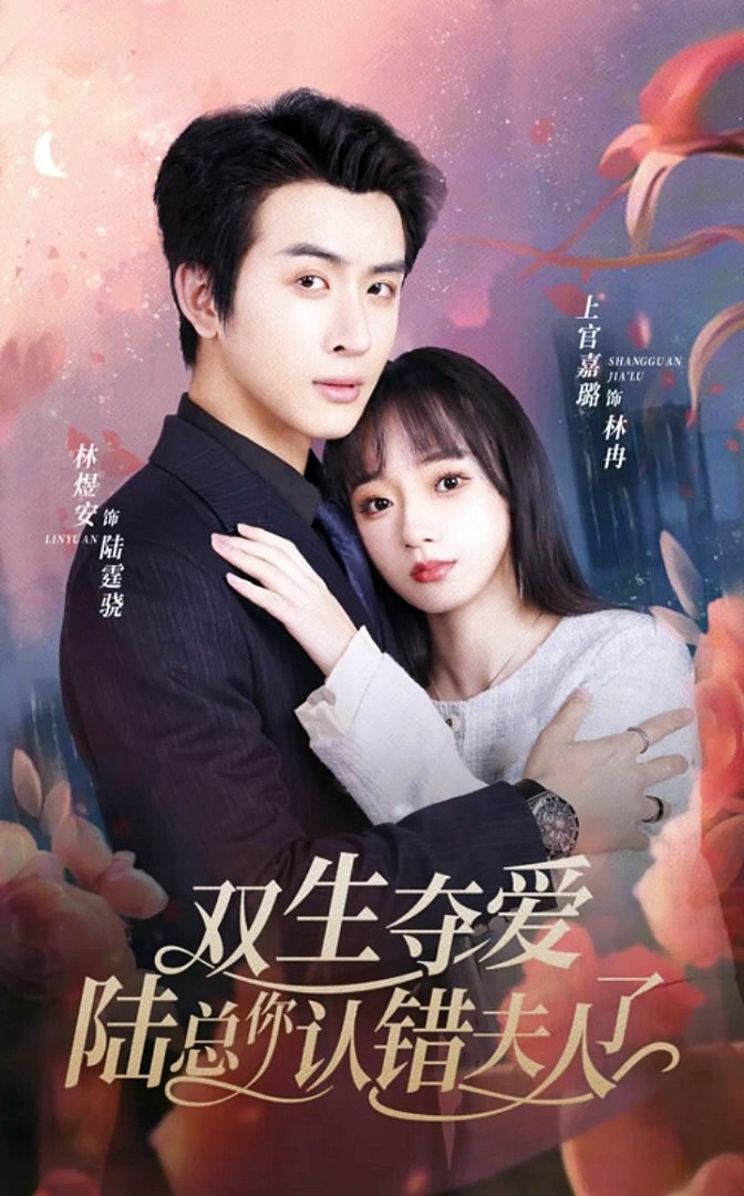 雙生奪愛，陸總你認(rèn)錯(cuò)夫人了