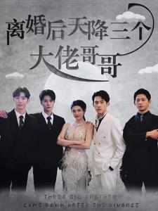 離婚后天降三個大佬哥哥