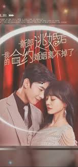 新郎逃婚后，我的合約婚姻離不掉了