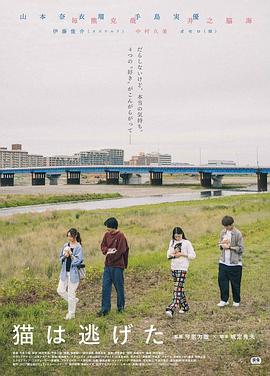 貓貓?zhí)幼吡?></a></div></div><div data-group=