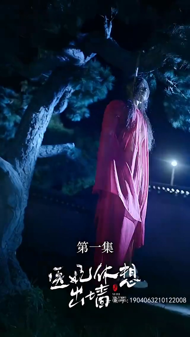 醫(yī)妃休想出墻