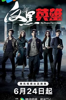 反黑英雄 普通話(huà)版