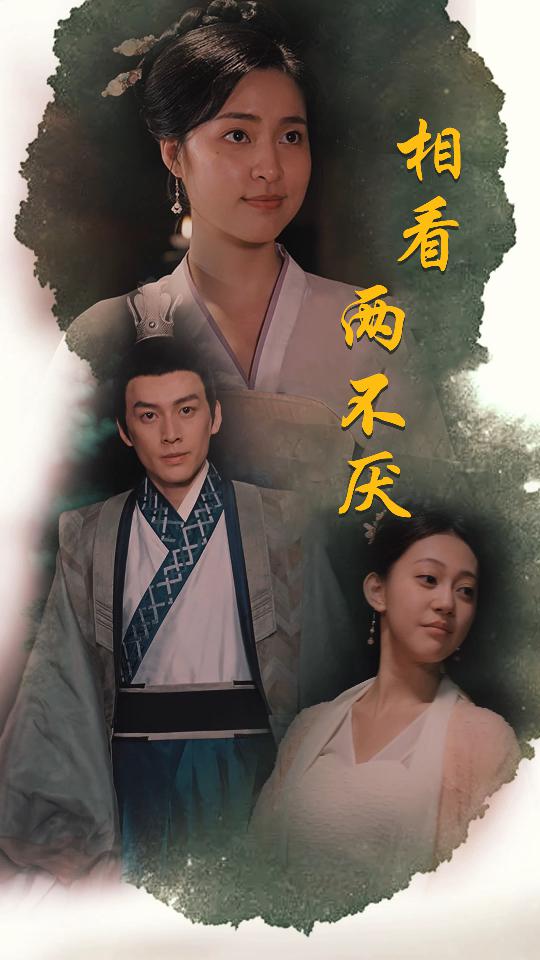相看兩不厭這個王妃不好惹