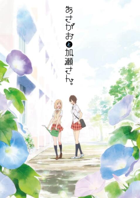 牽牛花與加瀨同學(xué)。