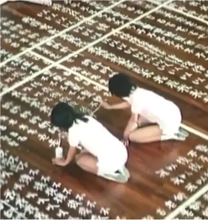 學(xué)霸小姐的秘密任務(wù)