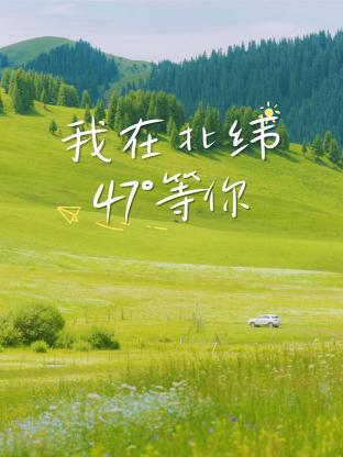 我在北緯47°等你