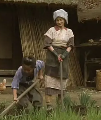 血染櫻花道
