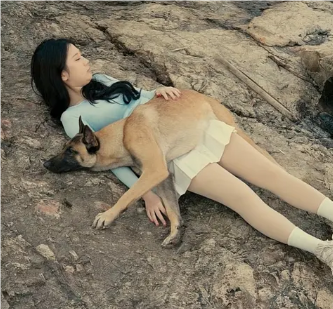犬心相伴