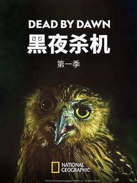 黑夜殺機(jī)第一季