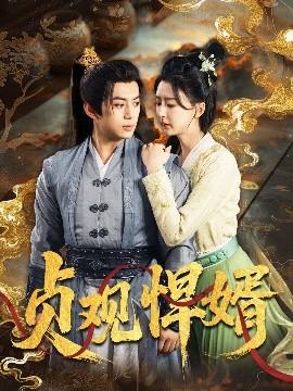 貞觀(guān)悍婿